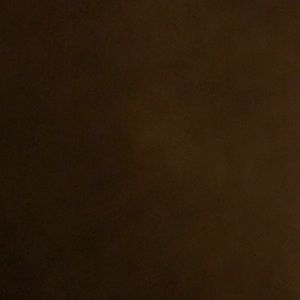 Meet your Posher, Landon